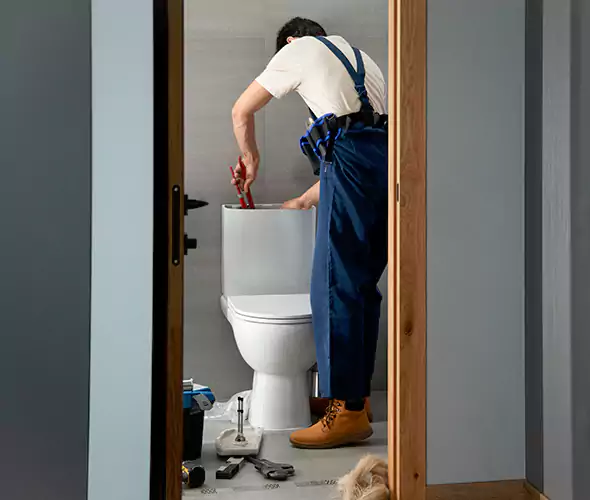 Professional Plumbers for Toilet Bowl Replacement in Madera, CA: Schedule Affordable Toilet Replacement Services With Us