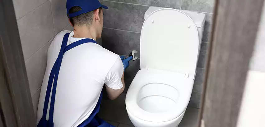 Toilet Lid Replacement in Madera